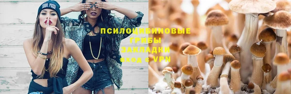 альфа пвп Гусь-Хрустальный