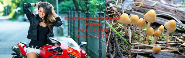 альфа пвп VHQ Гусев
