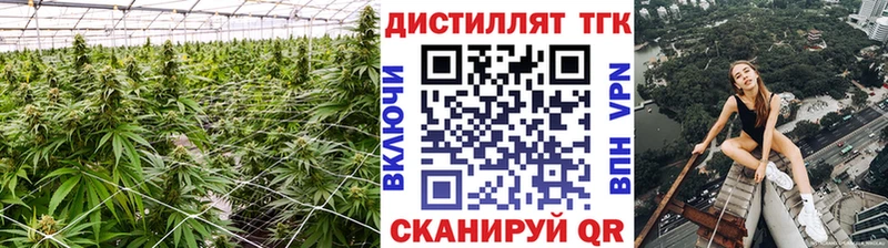 Дистиллят ТГК вейп Заречный