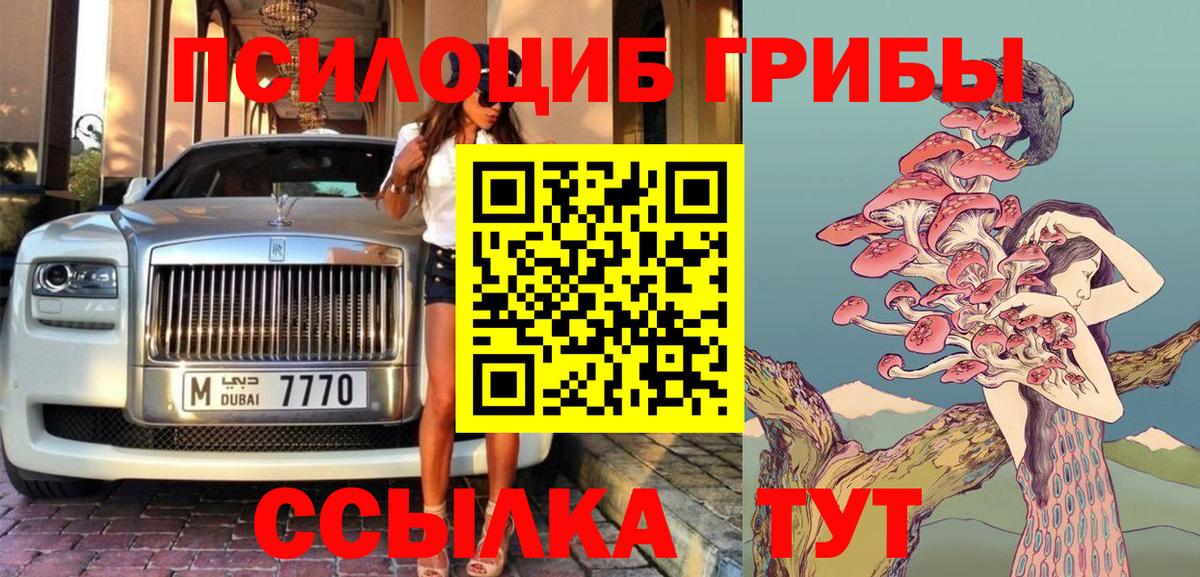 Заречный  Псилоцибиновые грибы мицелий  купить закладку  Вход с VPN 